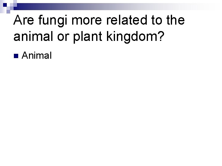 Are fungi more related to the animal or plant kingdom? n Animal 