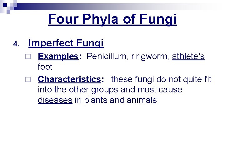 Four Phyla of Fungi 4. Imperfect Fungi Examples: Penicillum, ringworm, athlete’s foot ¨ Characteristics: