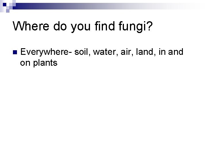 Where do you find fungi? n Everywhere- soil, water, air, land, in and on