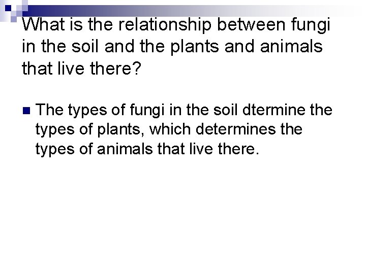 What is the relationship between fungi in the soil and the plants and animals