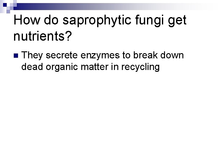 How do saprophytic fungi get nutrients? n They secrete enzymes to break down dead