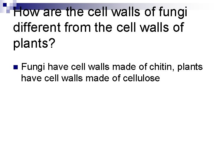 How are the cell walls of fungi different from the cell walls of plants?