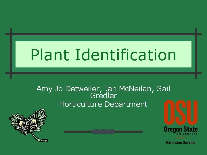 Plant Identification Amy Jo Detweiler, Jan Mc. Neilan, Gail Gredler Horticulture Department Plant Identification Amy Jo Detweiler, Jan Mc. Neilan, Gail Gredler Horticulture Department
