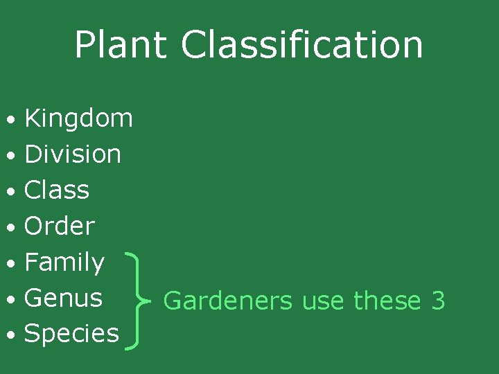 Plant Classification • Kingdom • Division • Class • Order • Family • Genus Plant Classification • Kingdom • Division • Class • Order • Family • Genus