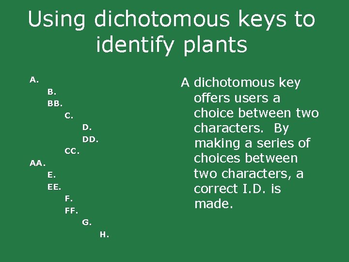 Using dichotomous keys to identify plants A dichotomous key offers users a choice between Using dichotomous keys to identify plants A dichotomous key offers users a choice between