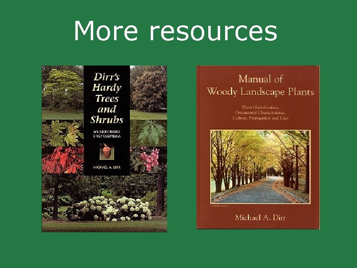 More resources More resources