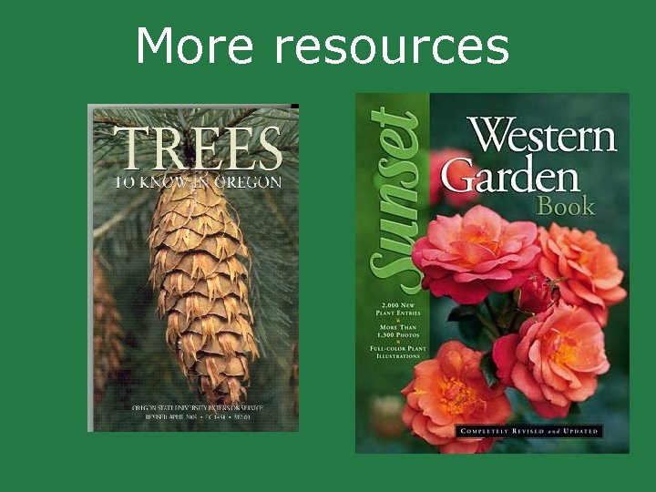More resources More resources