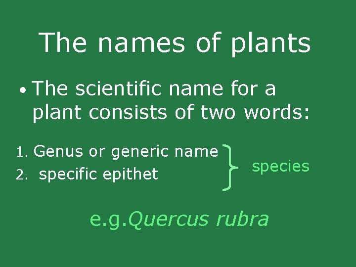 The names of plants • The scientific name for a plant consists of two The names of plants • The scientific name for a plant consists of two
