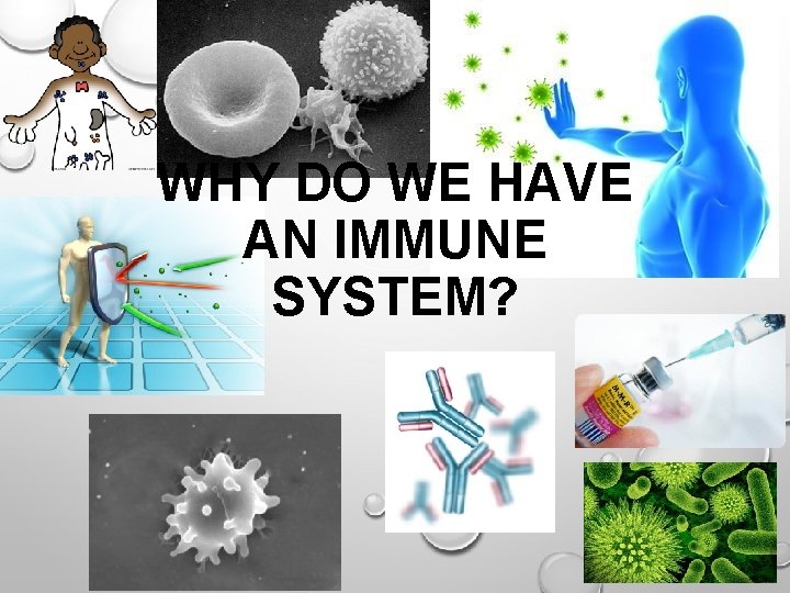 WHY DO WE HAVE AN IMMUNE SYSTEM? 