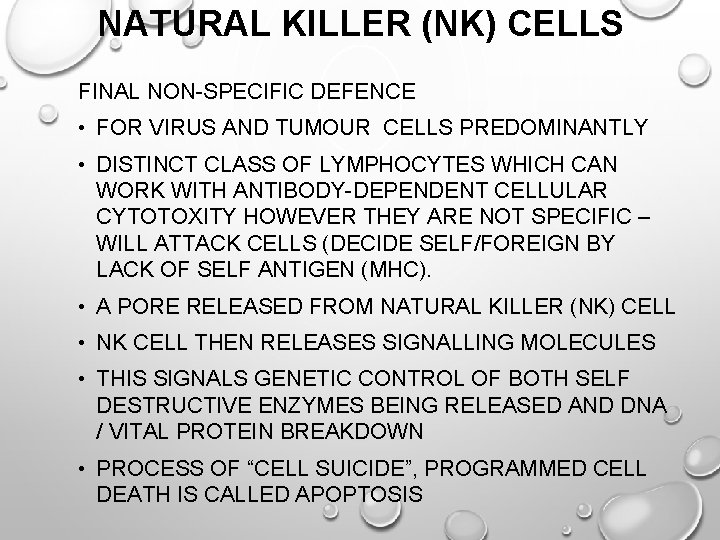 NATURAL KILLER (NK) CELLS FINAL NON-SPECIFIC DEFENCE • FOR VIRUS AND TUMOUR CELLS PREDOMINANTLY