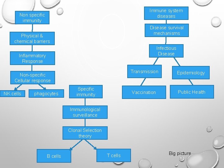 Immune system diseases Non specific immunity Disease survival mechanisms Physical & chemical barriers Infectious