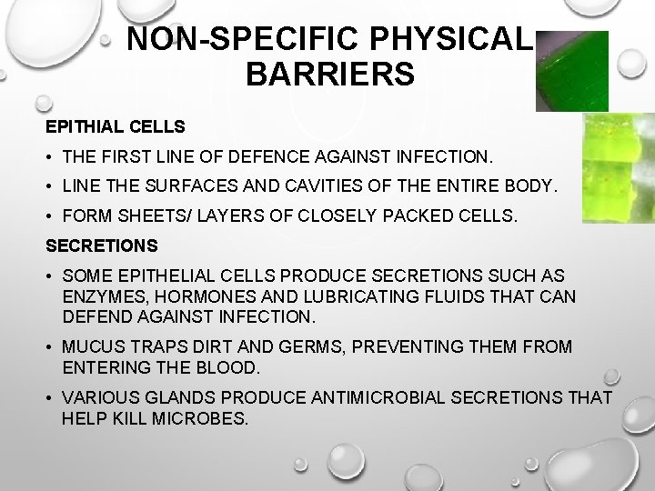 NON-SPECIFIC PHYSICAL BARRIERS EPITHIAL CELLS • THE FIRST LINE OF DEFENCE AGAINST INFECTION. •