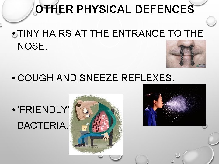 OTHER PHYSICAL DEFENCES • TINY HAIRS AT THE ENTRANCE TO THE NOSE. • COUGH