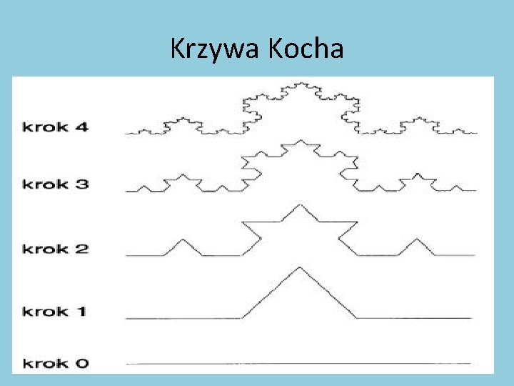 Krzywa Kocha 