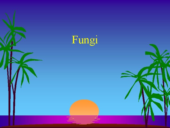 Fungi 