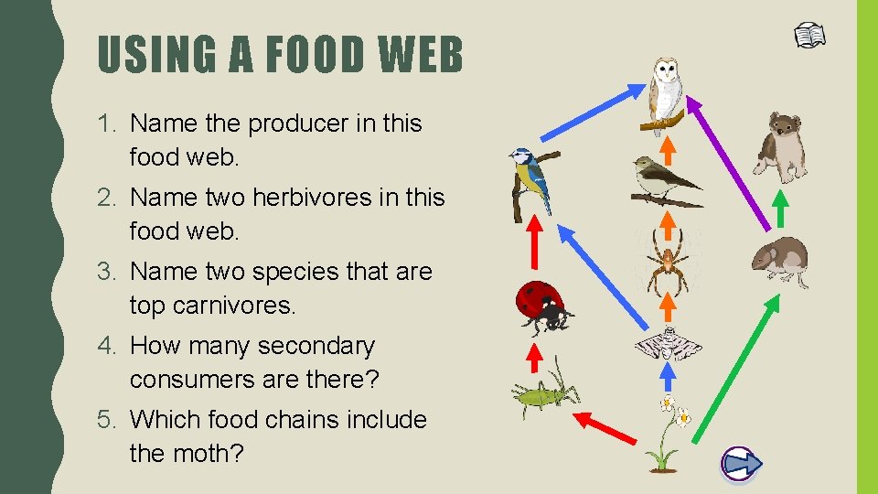 USING A FOOD WEB 1. Name the producer in this food web. 2. Name