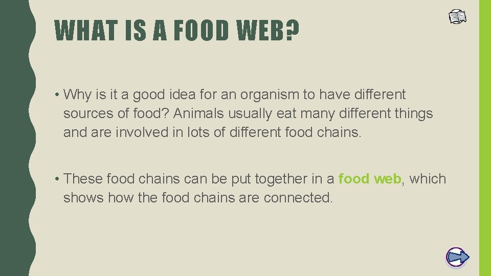 WHAT IS A FOOD WEB? • Why is it a good idea for an