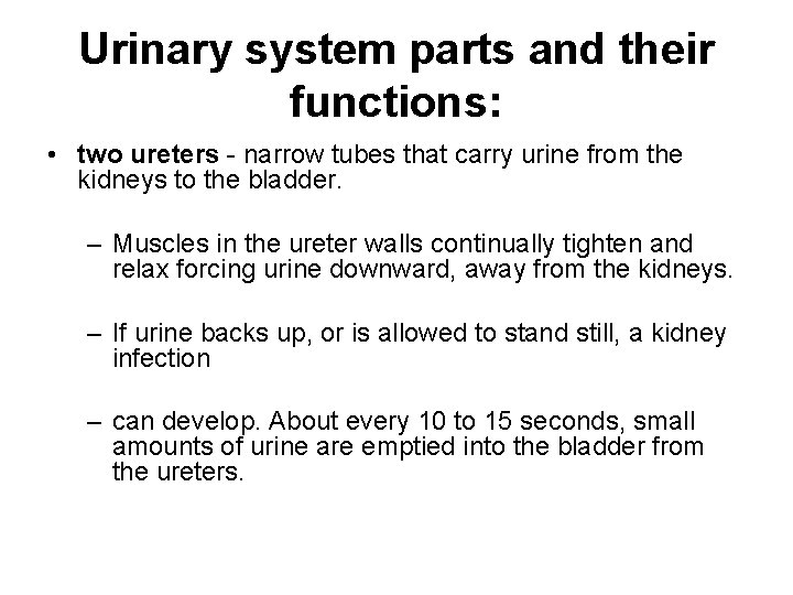 Urinary system parts and their functions: • two ureters - narrow tubes that carry