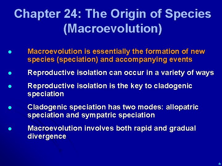 Chapter 24: The Origin of Species (Macroevolution) l Macroevolution is essentially the formation of