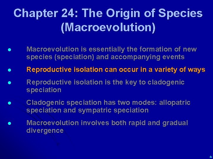 Chapter 24: The Origin of Species (Macroevolution) l Macroevolution is essentially the formation of