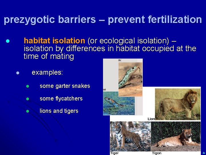 prezygotic barriers – prevent fertilization habitat isolation (or ecological isolation) – isolation by differences