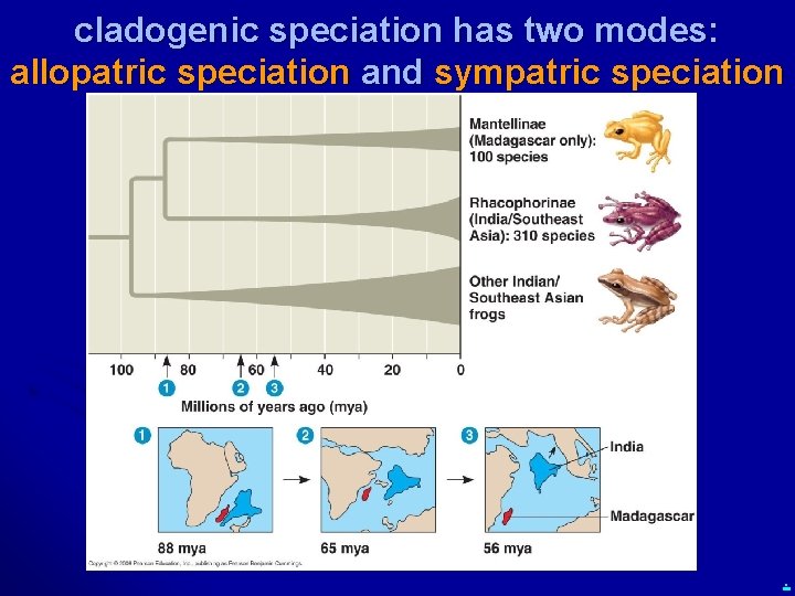 cladogenic speciation has two modes: allopatric speciation and sympatric speciation . 