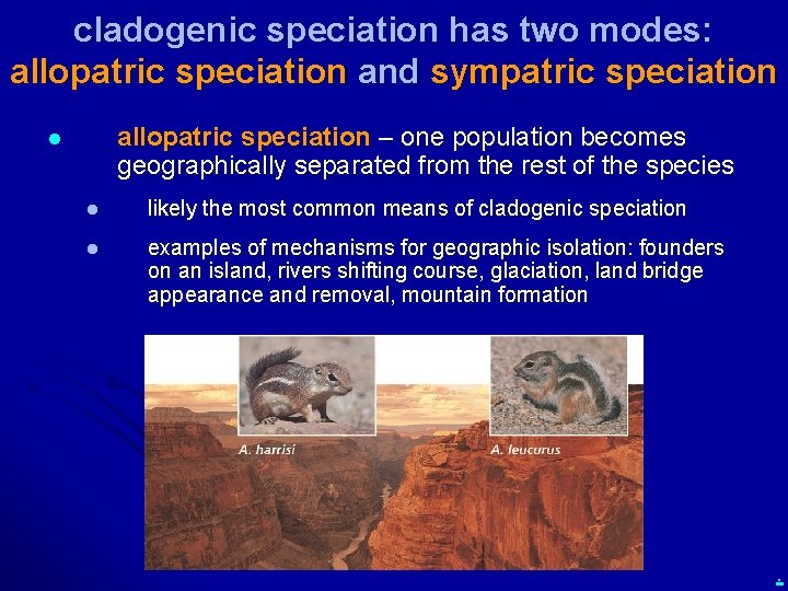 cladogenic speciation has two modes: allopatric speciation and sympatric speciation allopatric speciation – one