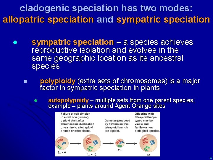 cladogenic speciation has two modes: allopatric speciation and sympatric speciation – a species achieves