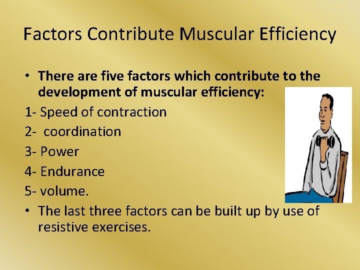 Factors Contribute Muscular Efficiency • There are five factors which contribute to the development