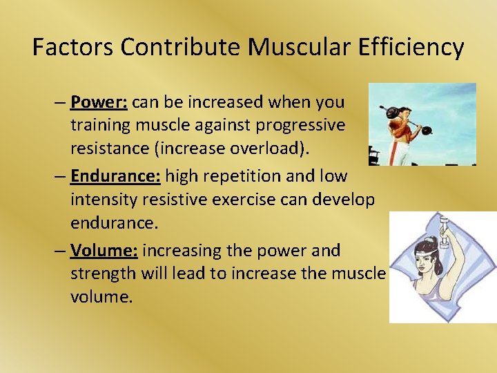 Factors Contribute Muscular Efficiency – Power: can be increased when you training muscle against