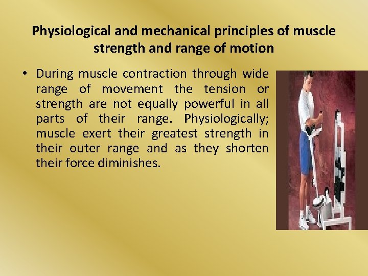  Physiological and mechanical principles of muscle strength and range of motion • During