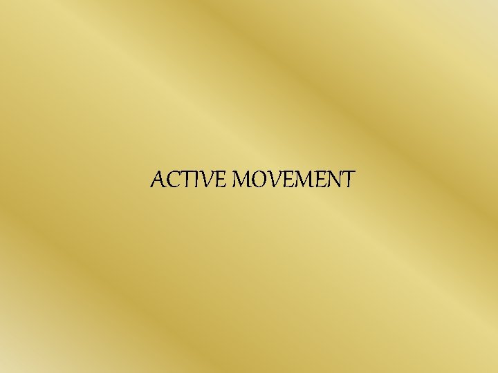 ACTIVE MOVEMENT 