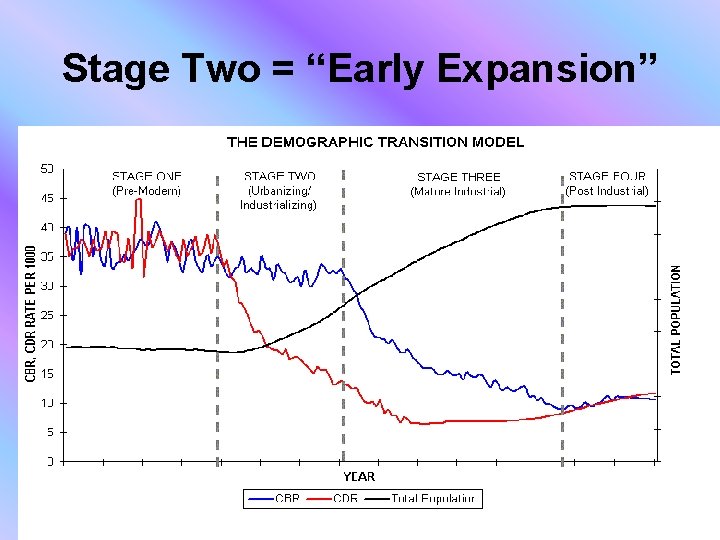 Stage Two = “Early Expansion” 
