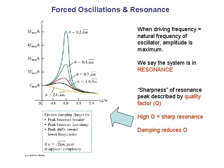 Forced Oscillations & Resonance When driving frequency = natural frequency of oscillator, amplitude is