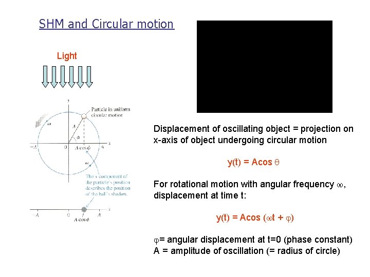 SHM and Circular motion Light Displacement of oscillating object = projection on x-axis of