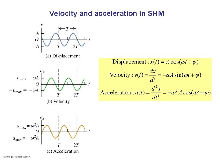 Velocity and acceleration in SHM 