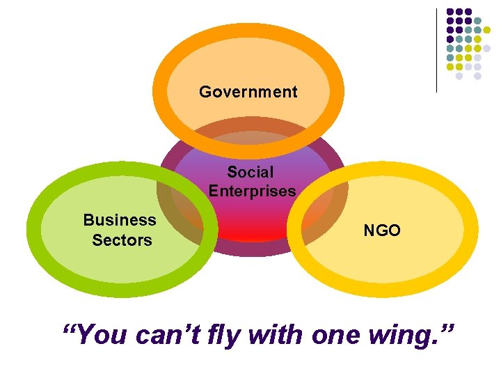 Government Social Enterprises Business Sectors NGO “You can’t fly with one wing. ” 