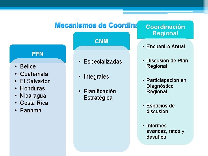 Mecanismos de Coordinación Regional CNM • Encuentro Anual PFN • • Belice Guatemala El