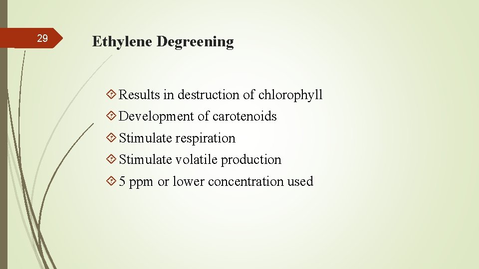 29 Ethylene Degreening Results in destruction of chlorophyll Development of carotenoids Stimulate respiration Stimulate