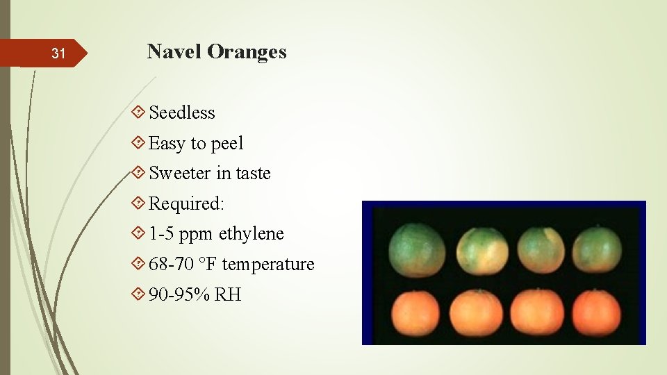 31 Navel Oranges Seedless Easy to peel Sweeter in taste Required: 1 -5 ppm