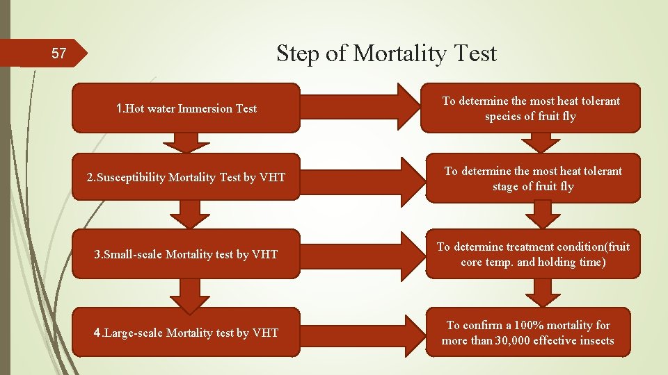 Step of Mortality Test 57 1. Hot water Immersion Test To determine the most