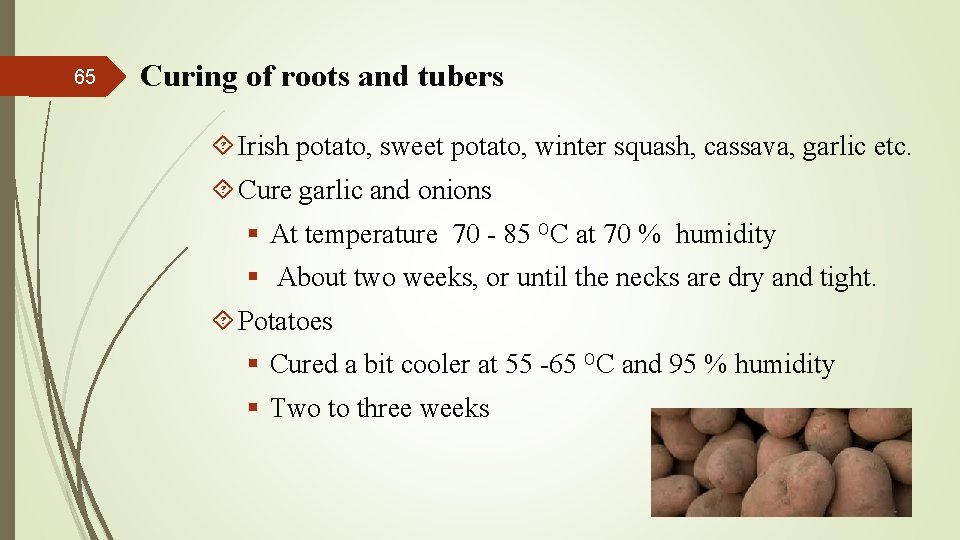 65 Curing of roots and tubers Irish potato, sweet potato, winter squash, cassava, garlic