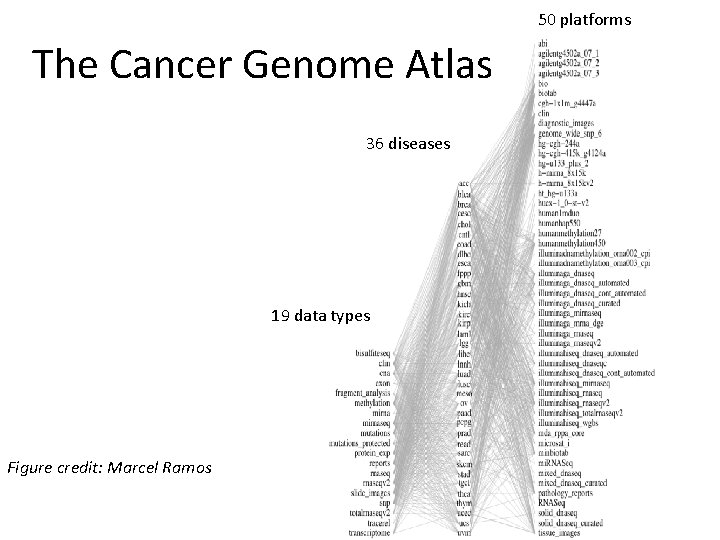 50 platforms The Cancer Genome Atlas 36 diseases 19 data types Figure credit: Marcel