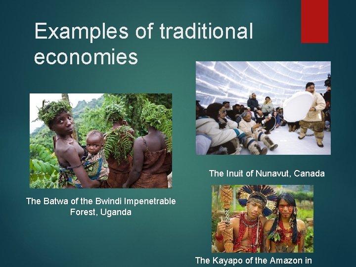 Examples of traditional economies The Inuit of Nunavut, Canada The Batwa of the Bwindi