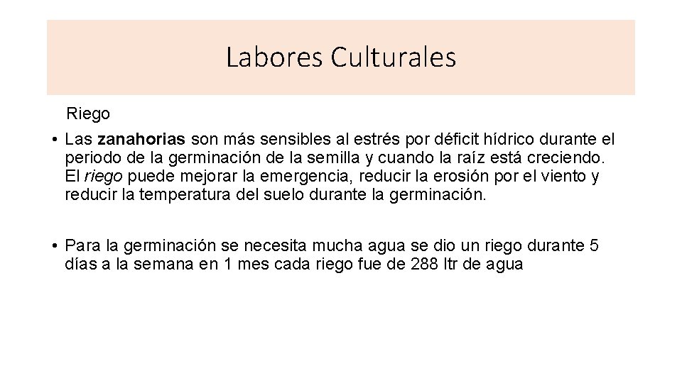 Labores Culturales Riego • Las zanahorias son más sensibles al estrés por déficit hídrico