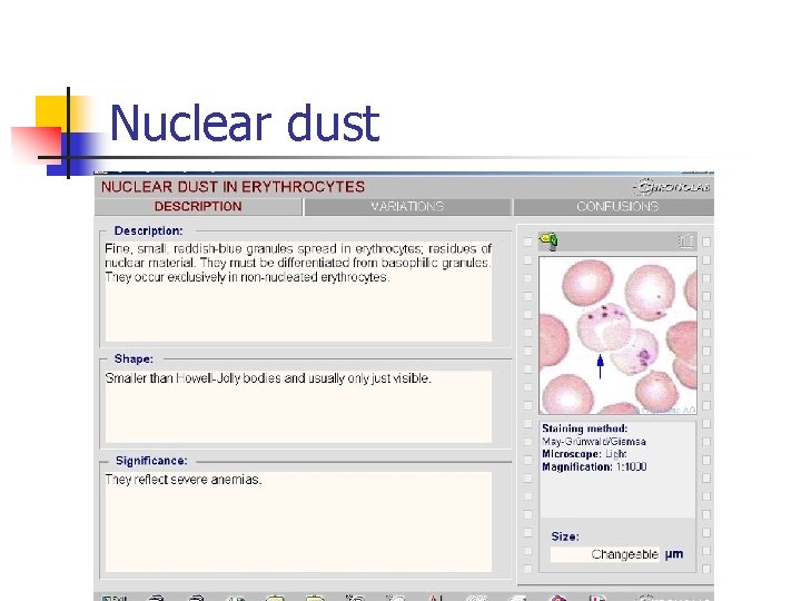 Nuclear dust Nuclear dust