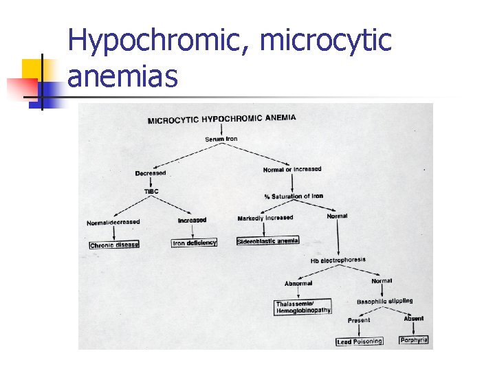 Hypochromic, microcytic anemias 
