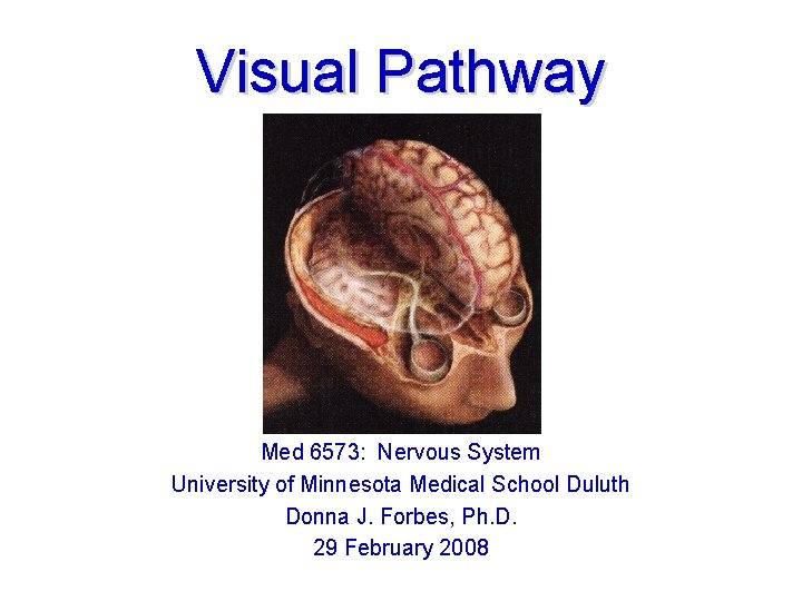 Visual Pathway Med 6573: Nervous System University of Minnesota Medical School Duluth Donna J. Visual Pathway Med 6573: Nervous System University of Minnesota Medical School Duluth Donna J.