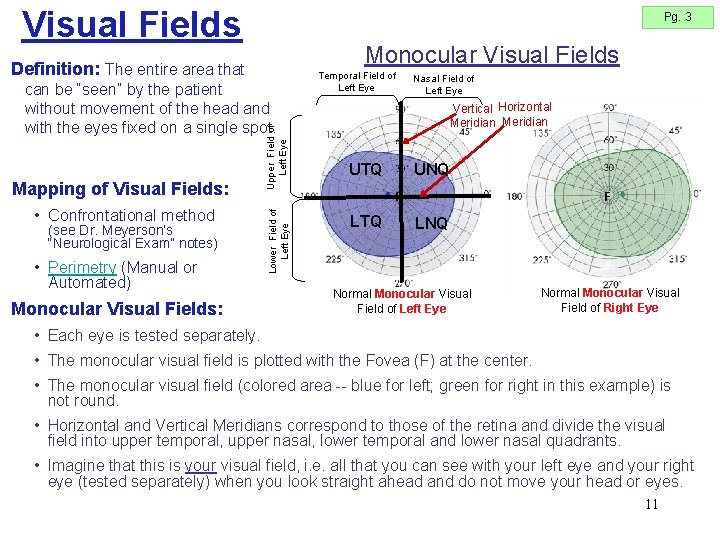 Visual Fields Pg. 3 Monocular Visual Fields Definition: The entire area that • Confrontational Visual Fields Pg. 3 Monocular Visual Fields Definition: The entire area that • Confrontational
