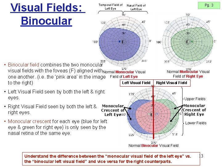 Visual Fields: Binocular Temporal Field of Left Eye Pg. 3 Nasal Field of Left Visual Fields: Binocular Temporal Field of Left Eye Pg. 3 Nasal Field of Left